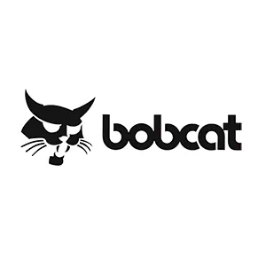 Bobcat
